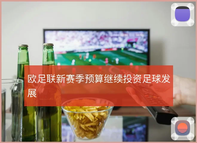 欧足联新赛季预算继续投资足球发展