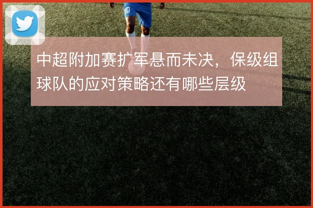 中超附加赛扩军悬而未决,保级组球队的应对策略还有哪些层级