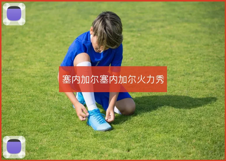 塞内加尔塞内加尔火力秀