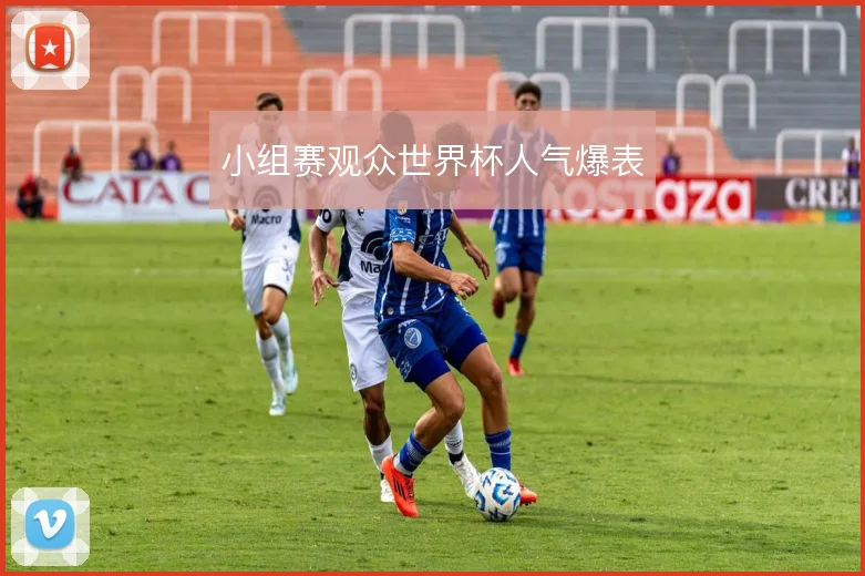 小组赛观众世界杯人气爆表