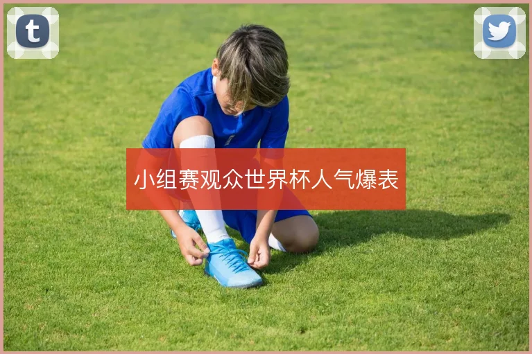 小组赛观众世界杯人气爆表