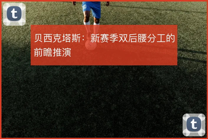 贝西克塔斯:新赛季双后腰分工的前瞻推演