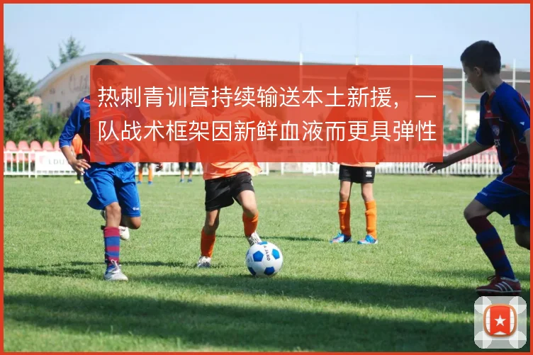 热刺青训营持续输送本土新援,一队战术框架因新鲜血液而更具弹性