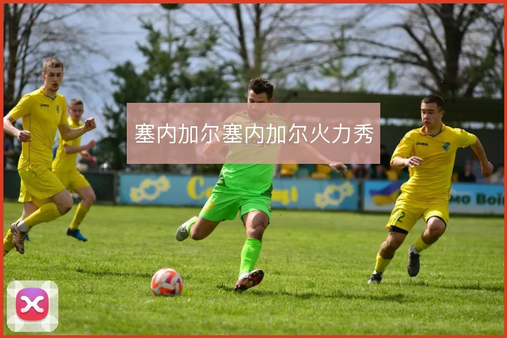 塞内加尔塞内加尔火力秀